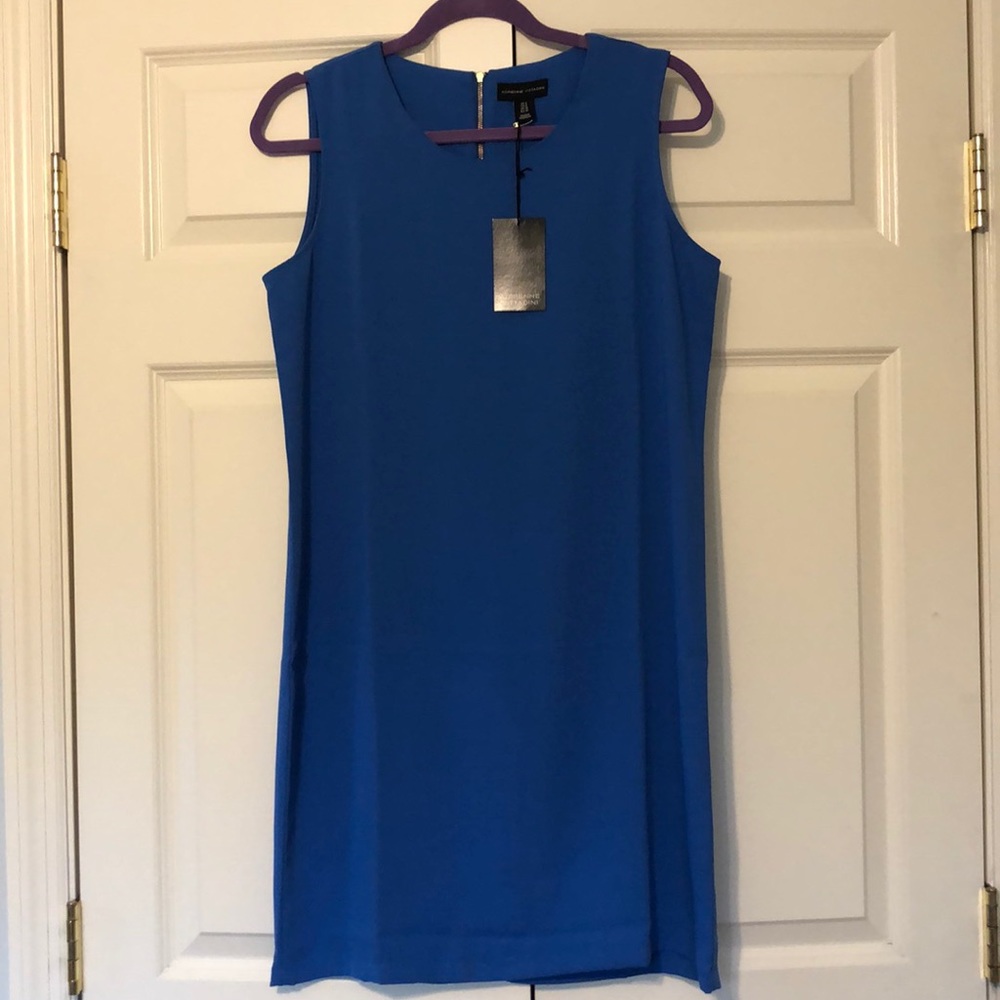 Adrienne Vittadini Dress